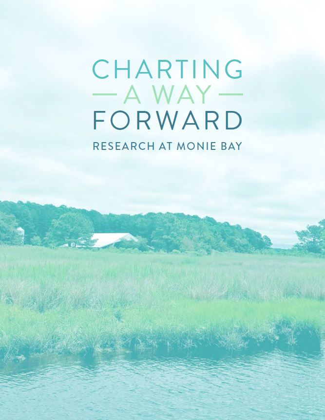 Charting a Way Forward, book cover