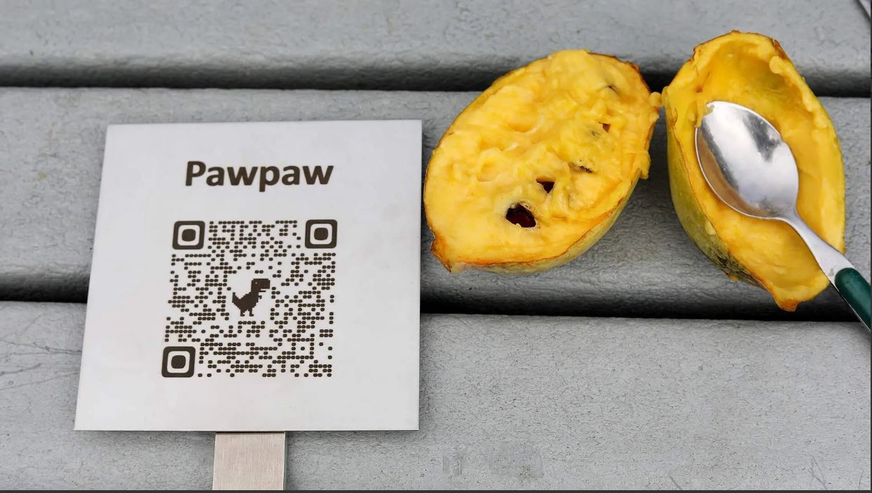 Pawpaw QR code by fruit