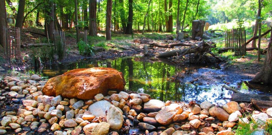 Stormwater; rocks piled up by a puddle, with a green forest in the background.