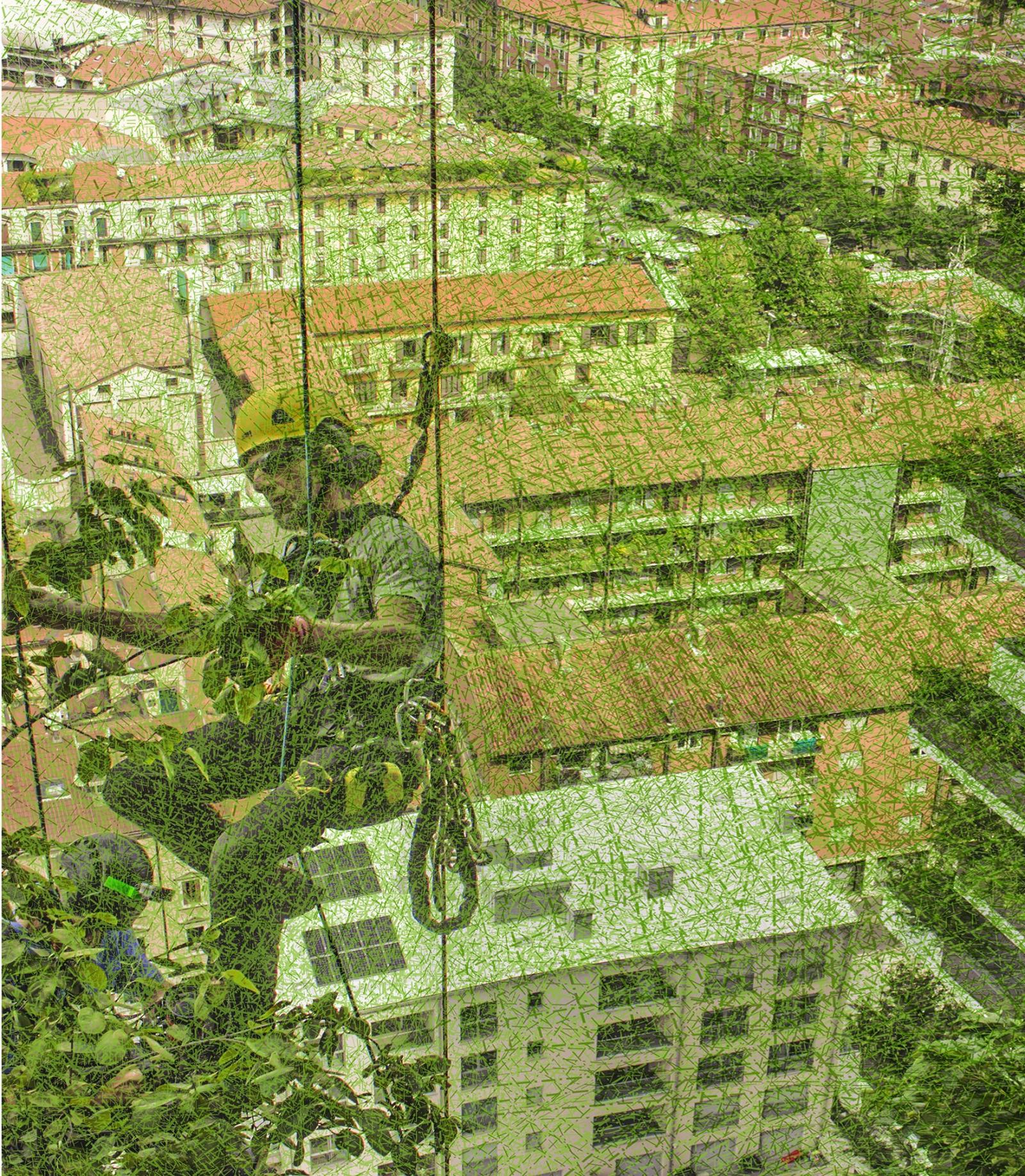Bird eye view of greenery between buildings and a man tending to the greenery.