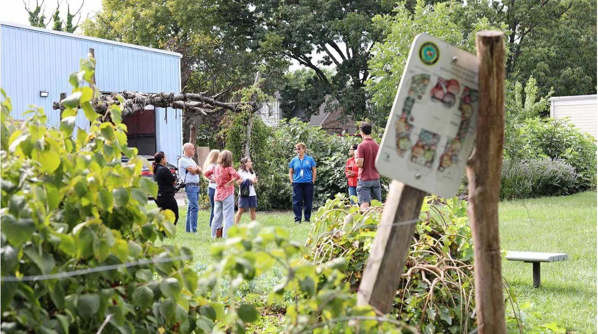 People standing in a food garden