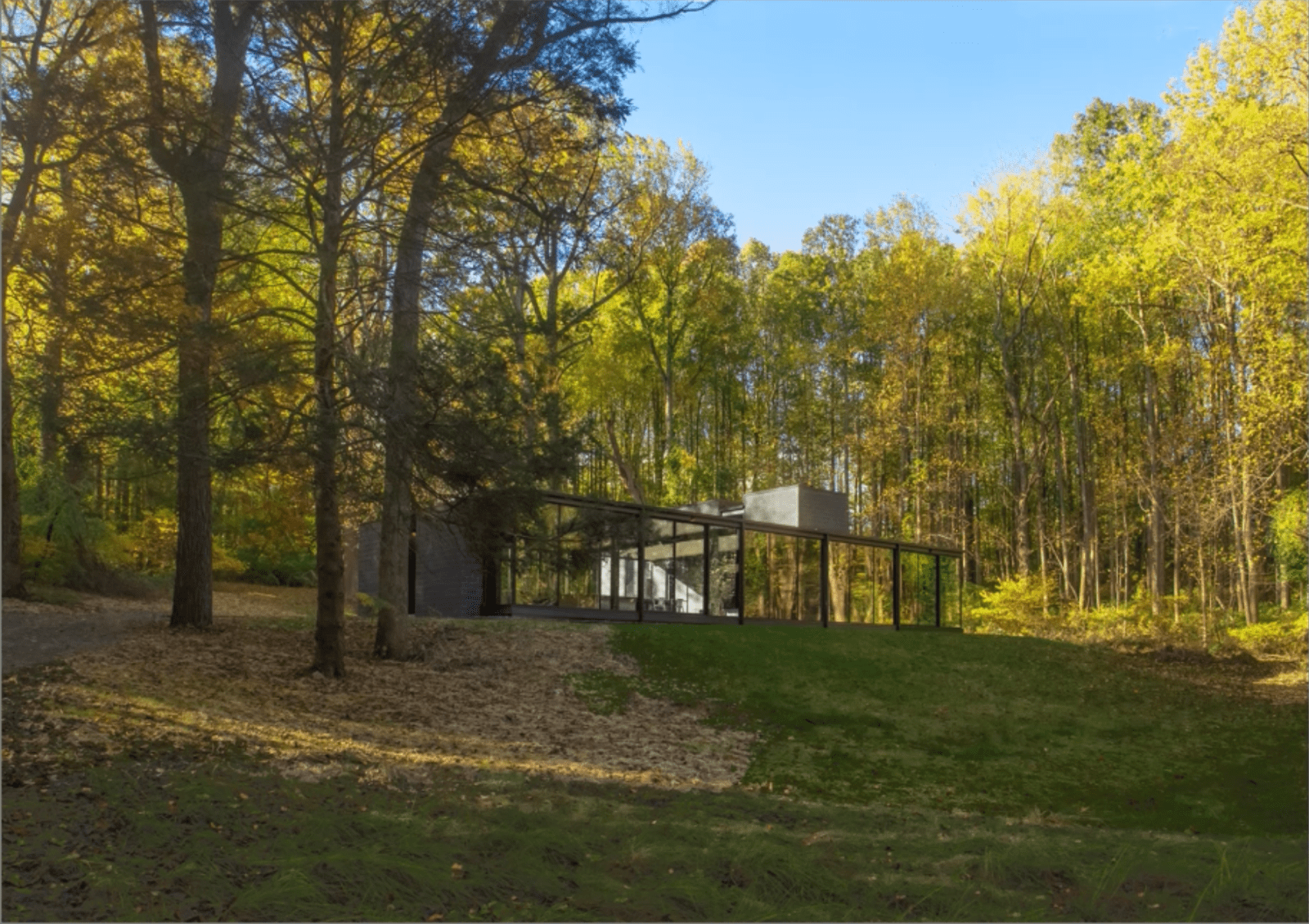 McInturff Architects House in a Clearing