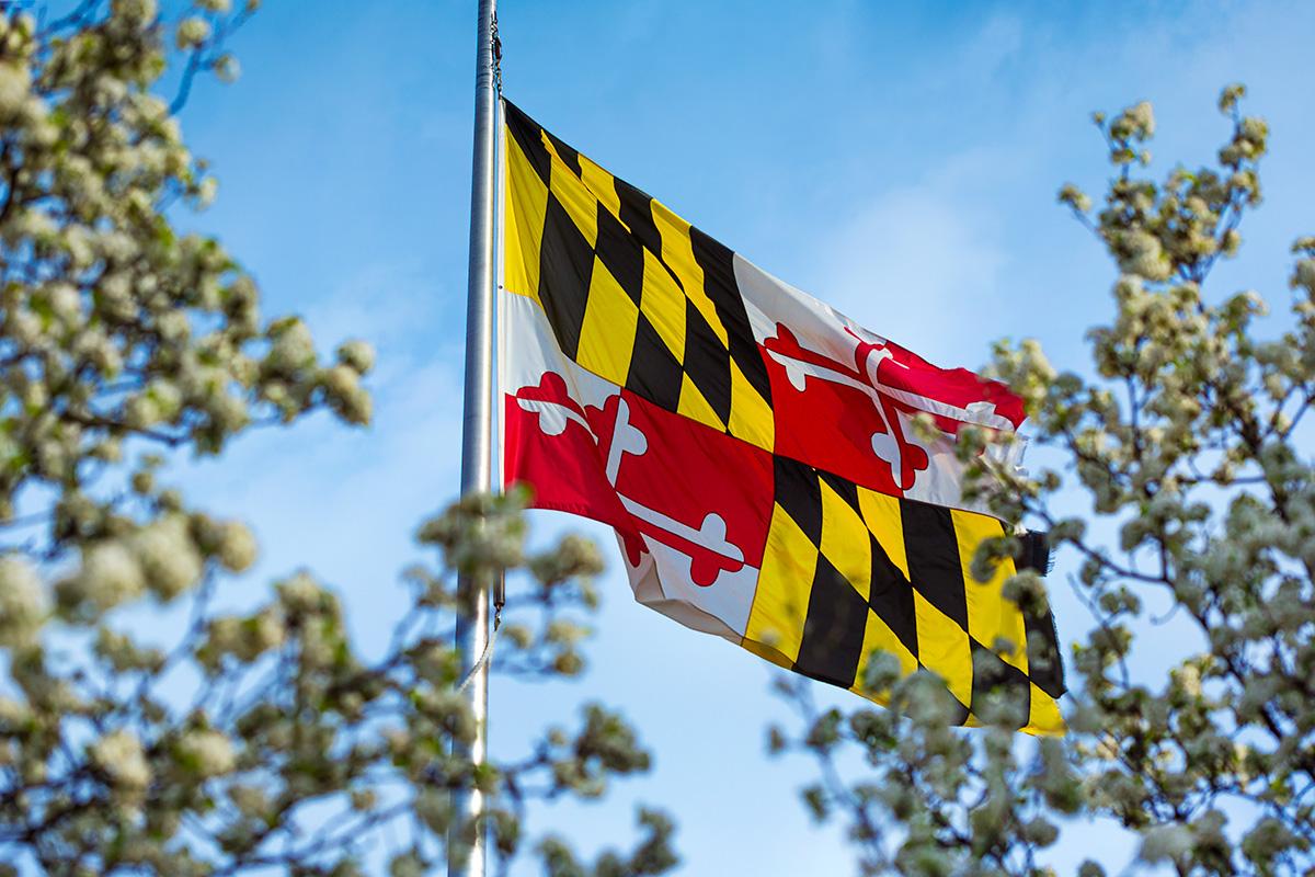 Maryland Flag framed by trees
